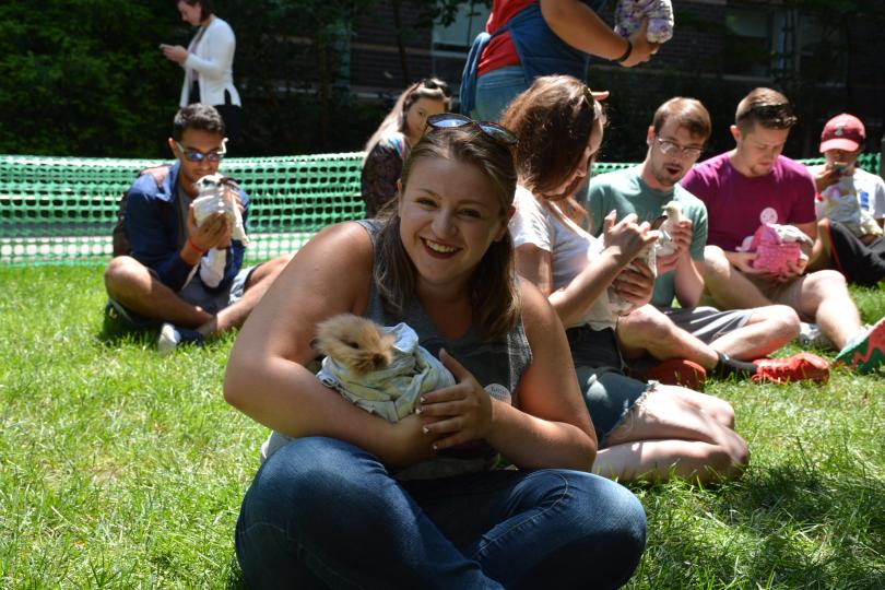 Students holding barn animals on the grass