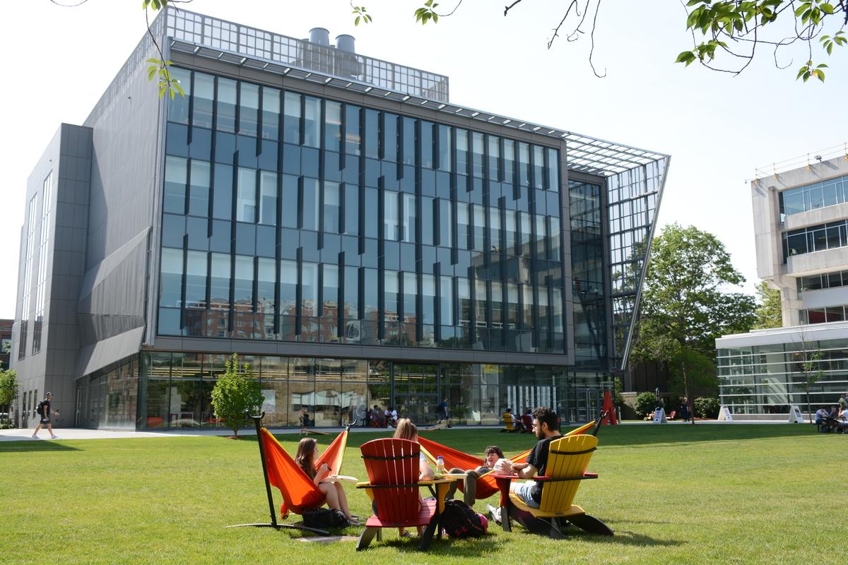 Students sit in adirondak chairs on the quad in the sunshine